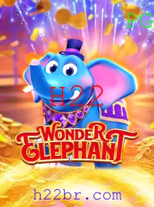 Explorando o Mundo de WonderElephant: Uma Aventura Inovadora